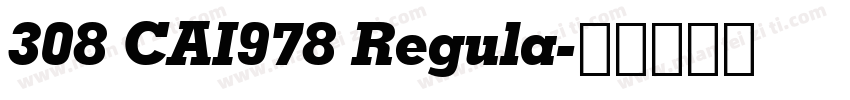 308 CAI978 Regula字体转换